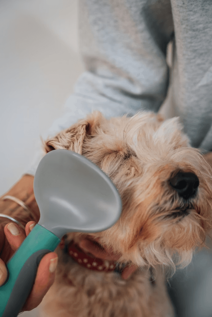 High-Tech Love for Your Furry Friends